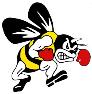 gymfloor bee noblue
